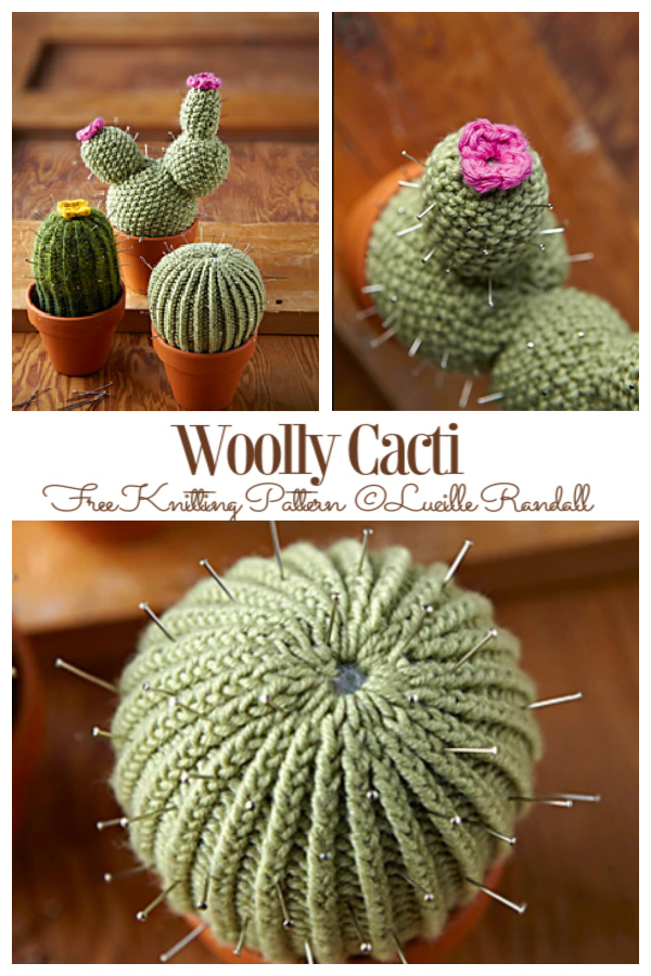 Knit Woolly Cacti Free Knitting Patterns