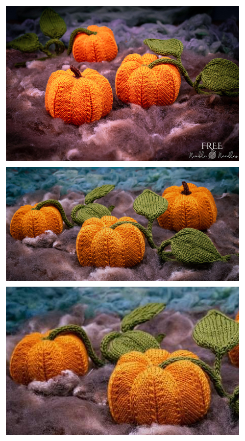 Cute little pumpkin patch Free knitting Patterns