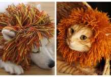 Knit Cat+Dog Lion Snood Free Knitting Patterns