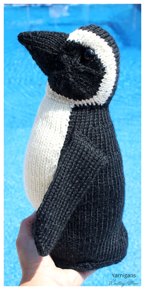 Amigurumi African Penguin Free Knitting Pattern by 2020/8/24