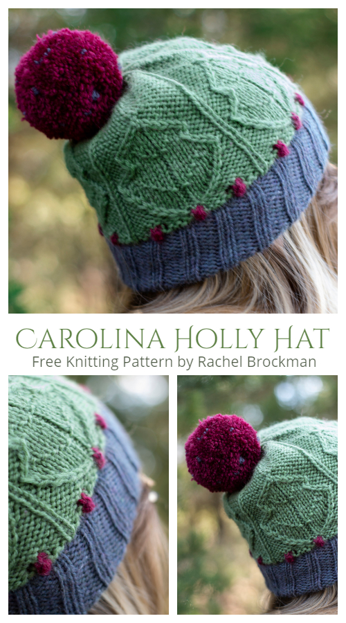 Knit Carolina Holly Hat Free Knitting Patterns