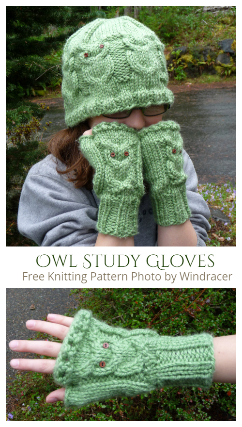 Knit Owl Study Gloves Free Knitting Patterns