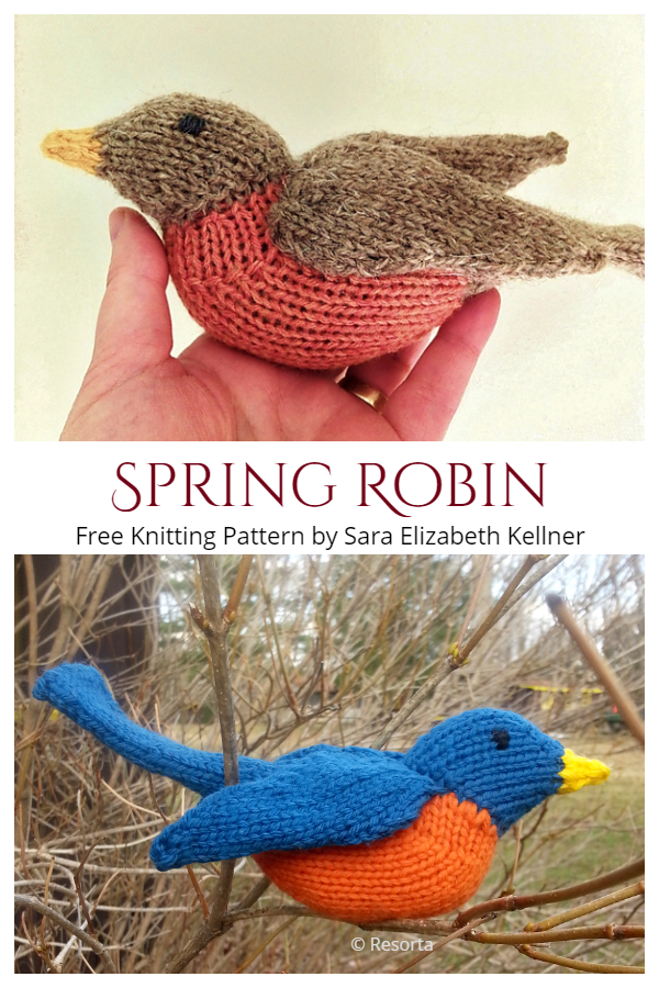 Amigurumi Spring Robin Bird Free Knitting Patterns