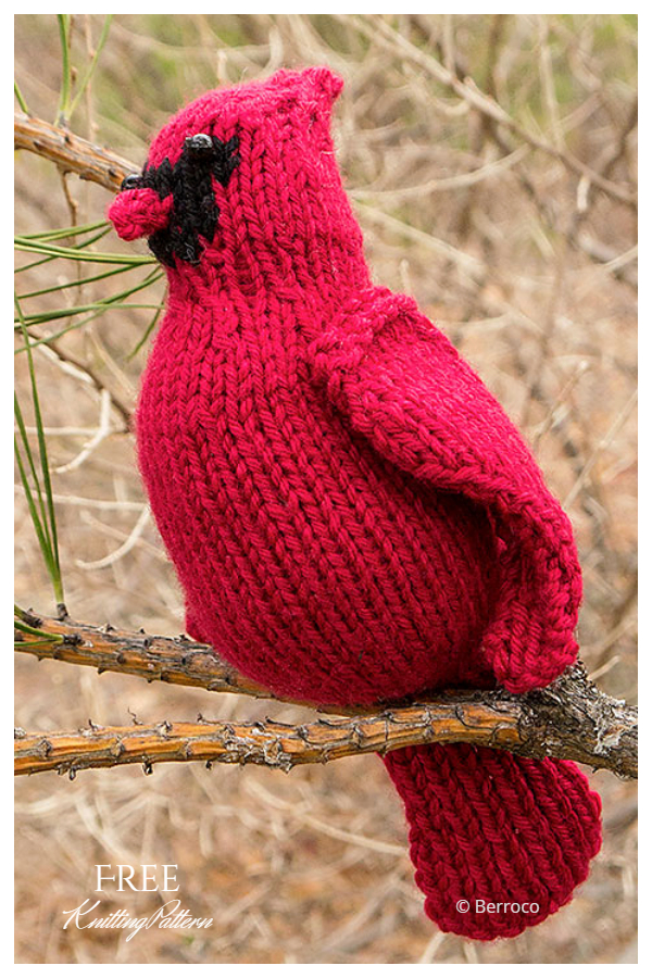 Amigurumi Francisco Bird Free Knitting Patterns