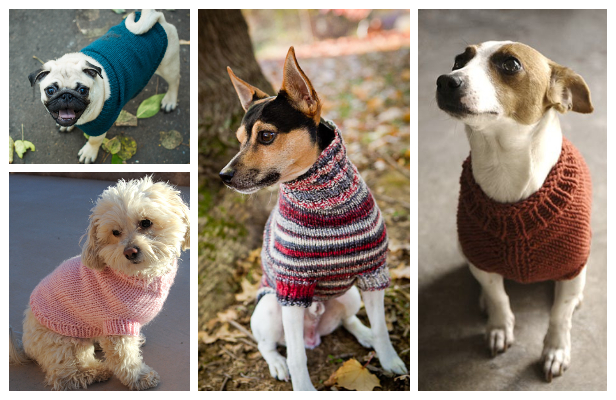 Knit Dog Sweater Free Knitting Patterns, Dachshund Coat Knitting Pattern Free
