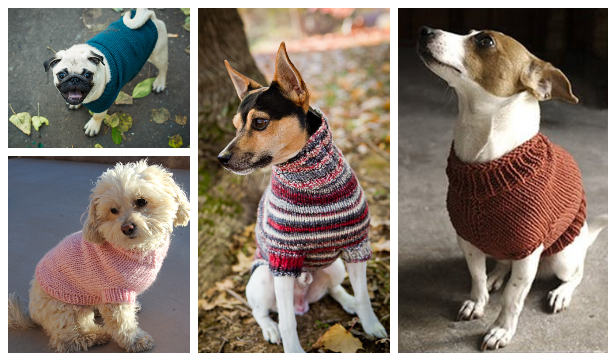 Chihuahua knitted shop jumper pattern