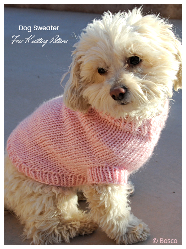 Knit Dog Sweater Free Knitting Patterns Knitting Pattern