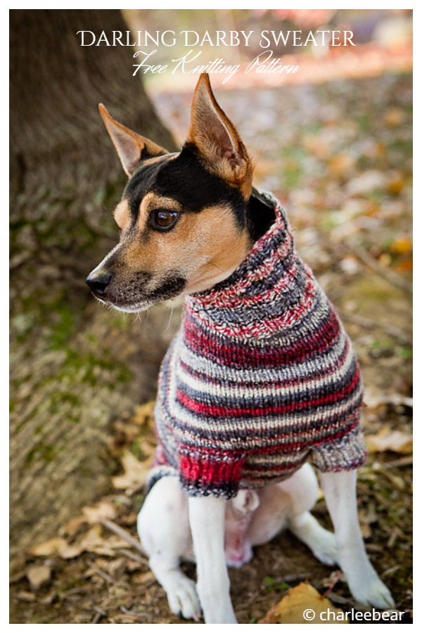 Knit Darling Darby Dog Sweater Free Knitting Patterns