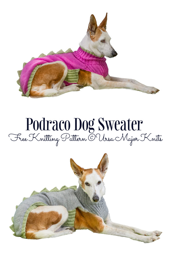 Knit Podraco Dog Sweater Free Knitting Patterns