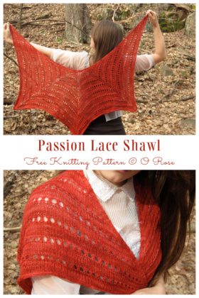 Passion Lace Shawl Free Knitting Pattern - Knitting Pattern