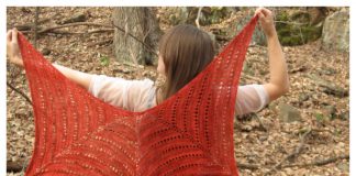 Knit Passion Lace Shawl Free Knitting Pattern