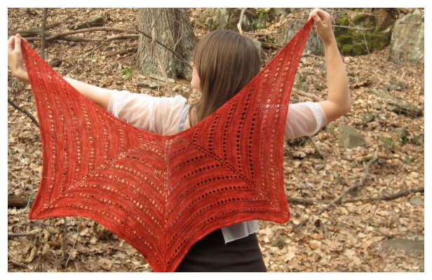 Knit Passion Lace Shawl Free Knitting Pattern