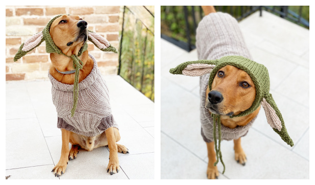 dog yoda sweater