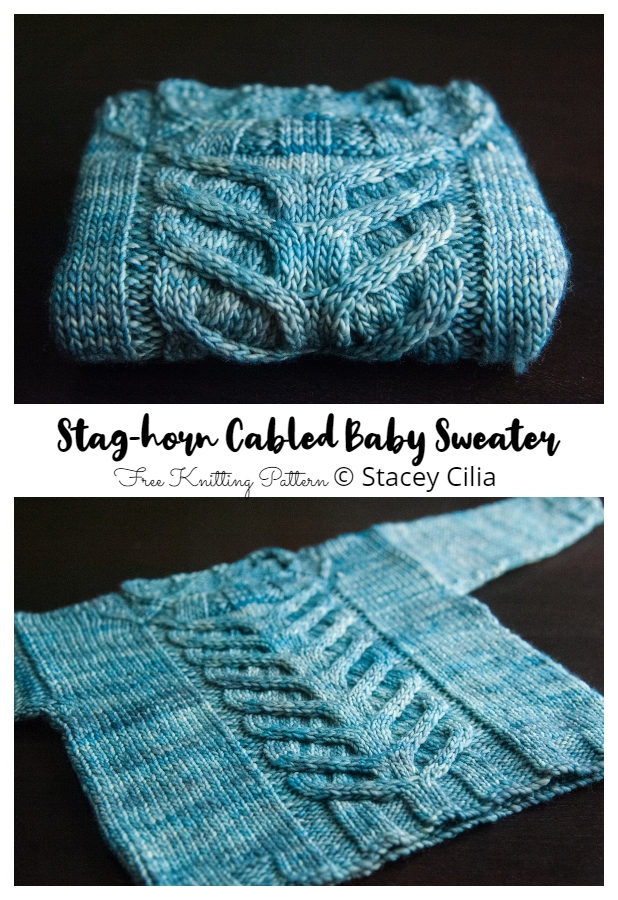 Stag-horn Cabled Baby Sweater Free Knitting Pattern