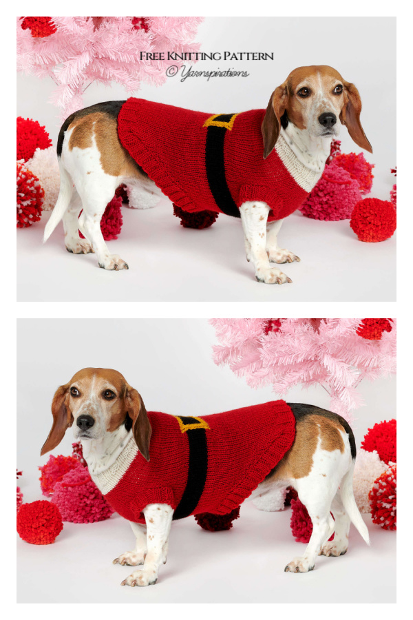 Christmas Santa Dog Coats Free Knitting Pattern