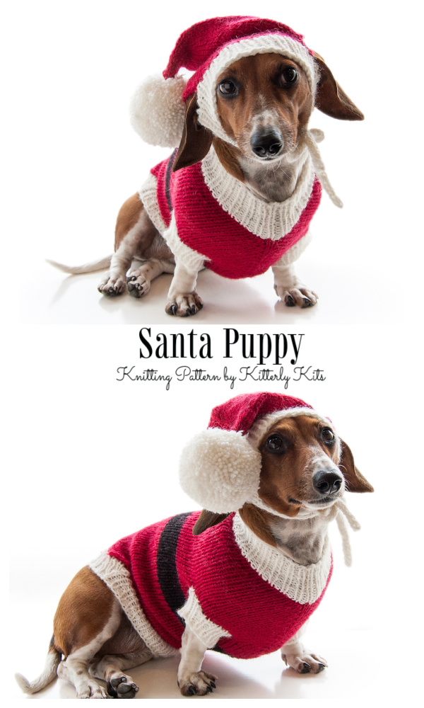Christmas Santa Puppy Sweater Hat Free Knitting Patterns