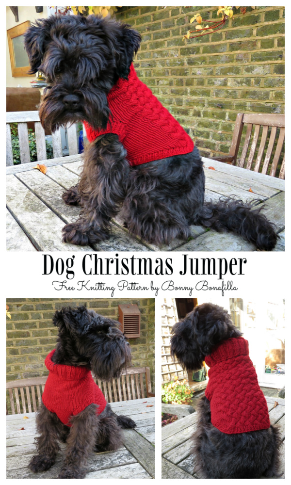 Christmas Dog Jumper Free Knitting Patterns