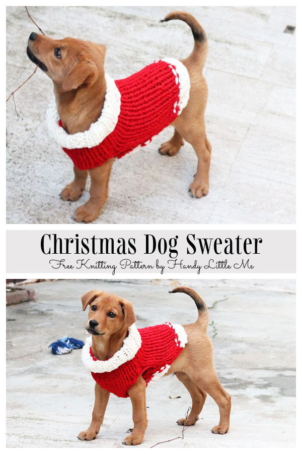 Knit Christmas Dog Sweater Free Knitting Patterns 