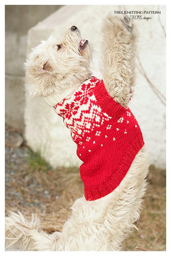 Nordic Paws Dog Sweater Free Knitting Pattern
