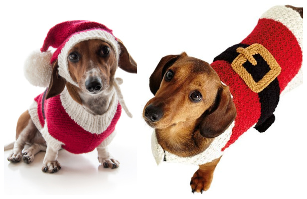 Christmas Santa Dog Sweater Free Knitting Patterns