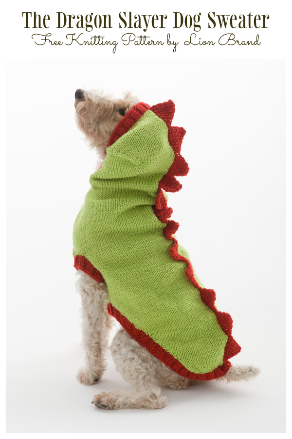 The Dragon Slayer Dog Sweater Free Knitting Pattern
