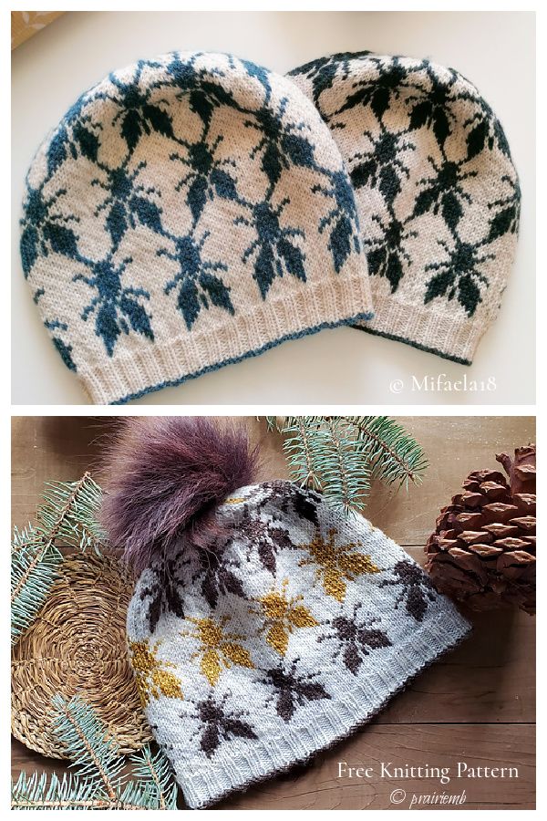 Pühalepa Bug Hat Free Knitting Pattern