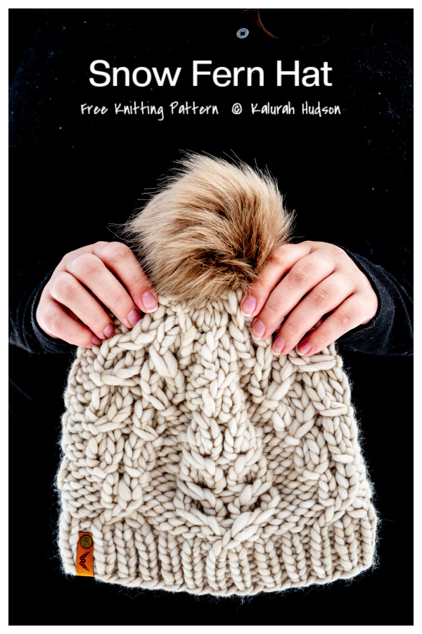 Snow Fern Hat Free Knitting Pattern