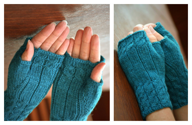 Fetching Fingerless Gloves Free Knitting Pattern