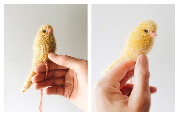 Canary Bird Free Knitting Pattern