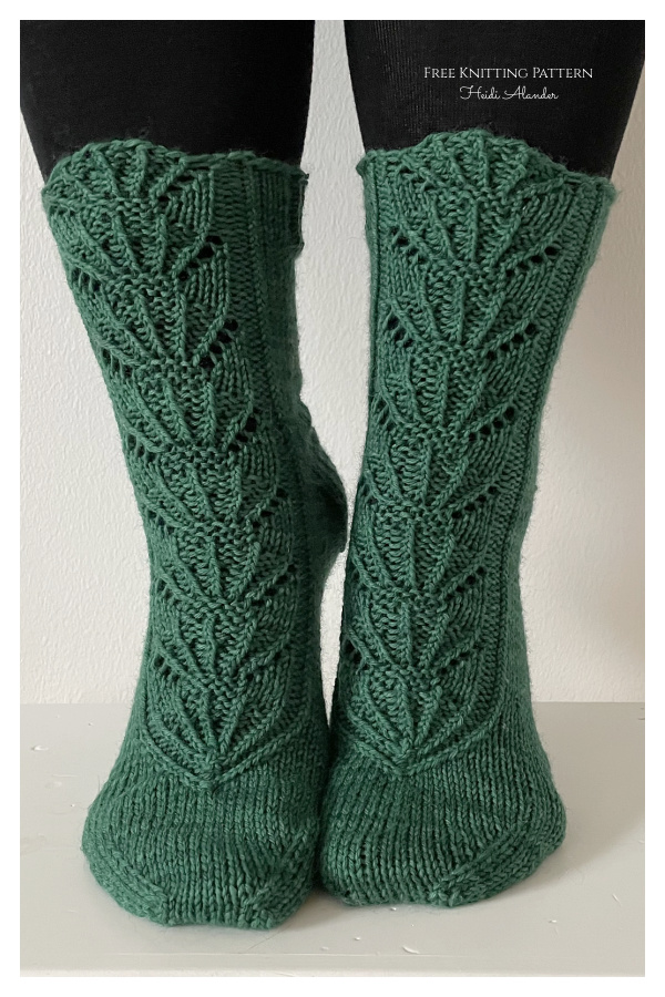 Brin Socks Free Knitting Pattern