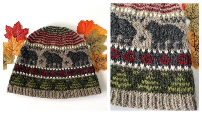 Catskill Beanie Free Knitting Pattern