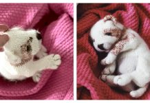 Amigurumi New Born Puppy Free Knitting Pattern