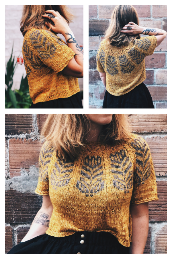 Misurina Pullover Top Knitting Pattern