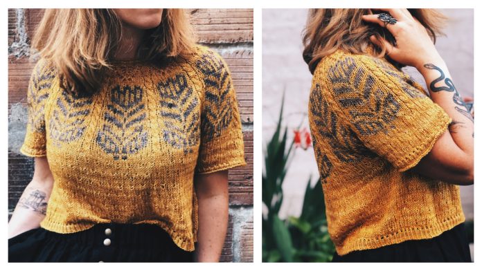 Misurina Pullover Top Knitting Pattern
