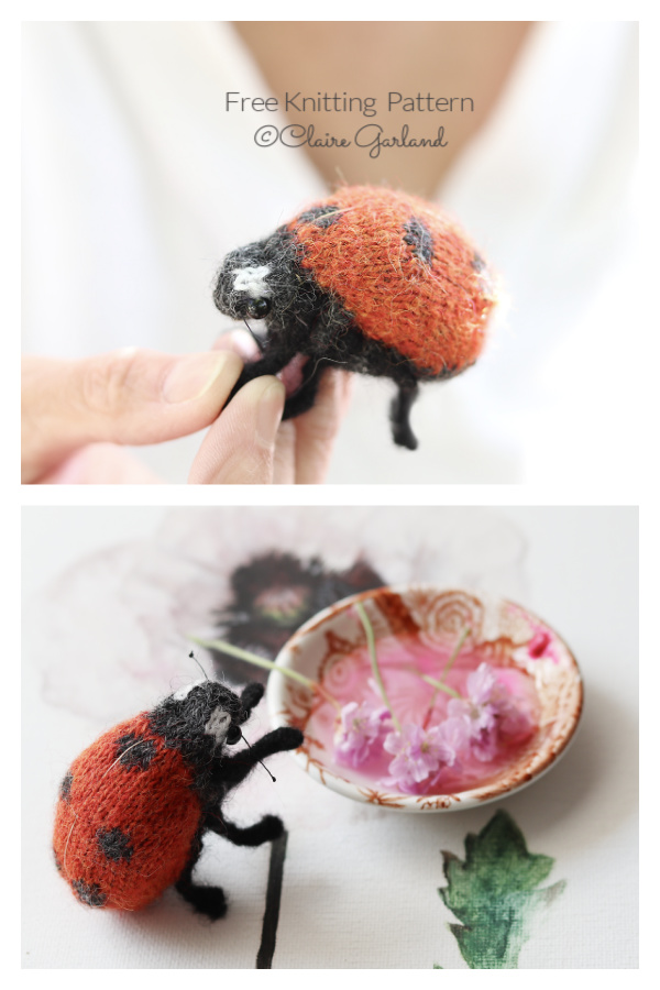 Amigurumi Ladybird Ladybug Free Knitting Pattern