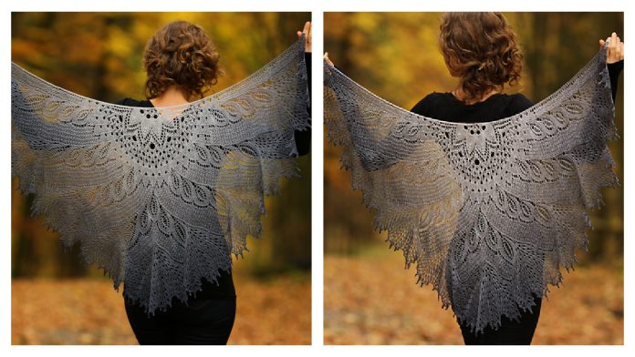 Lace Wild Swan Shawl Free Knitting Pattern