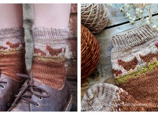 Chicken Socks Free Knitting Pattern
