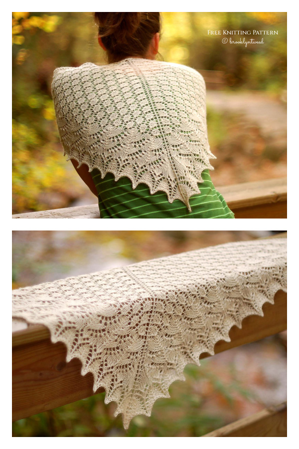 Swallowtail Shawl Free Knitting Pattern