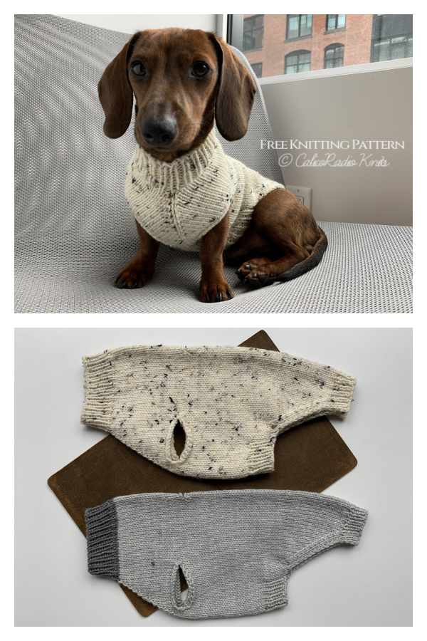 Seamless Dog Sweater Free Knitting Pattern. f1