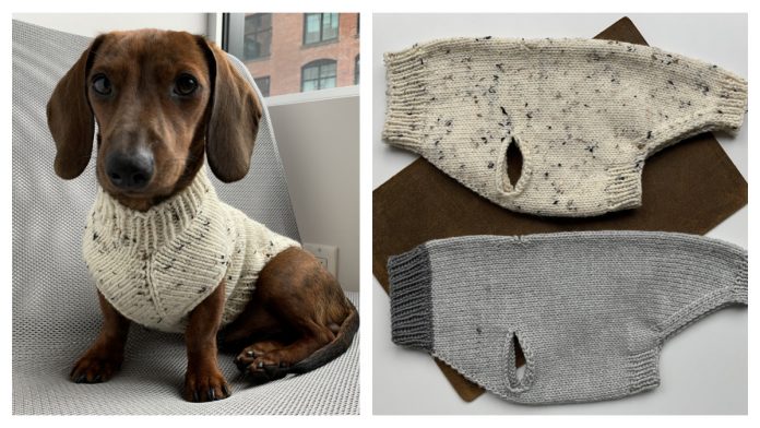 Seamless Dog Sweater Free Knitting Pattern