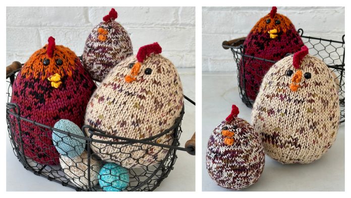 Which Came First Chicken and Egg Free Knitting Pattern