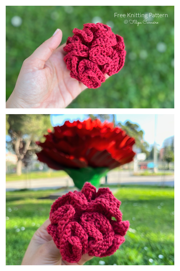 Carnation Flower Free Knitting Pattern