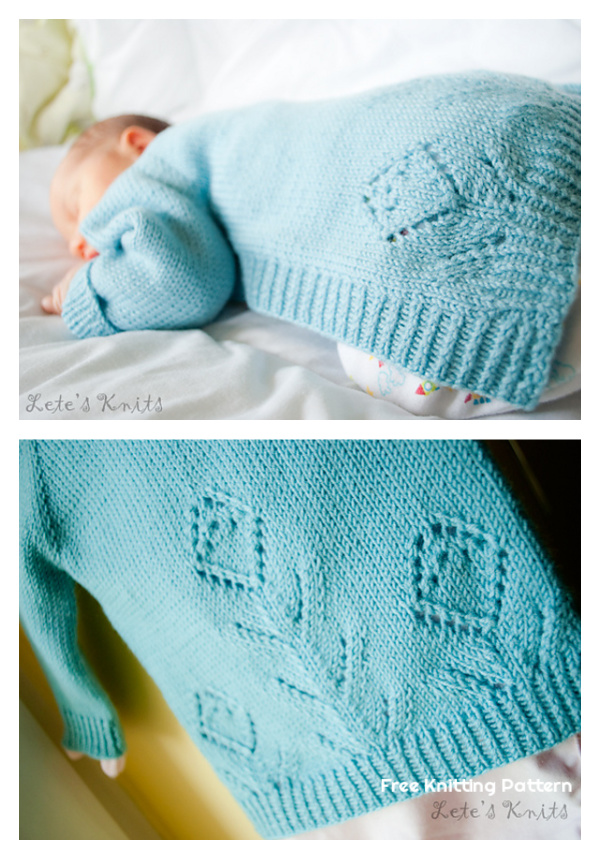 Newborn Vertebrae Cardigan Free Knitting Pattern