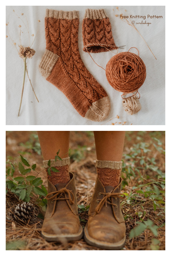 Cozy Autumn Socks Free Knitting Pattern