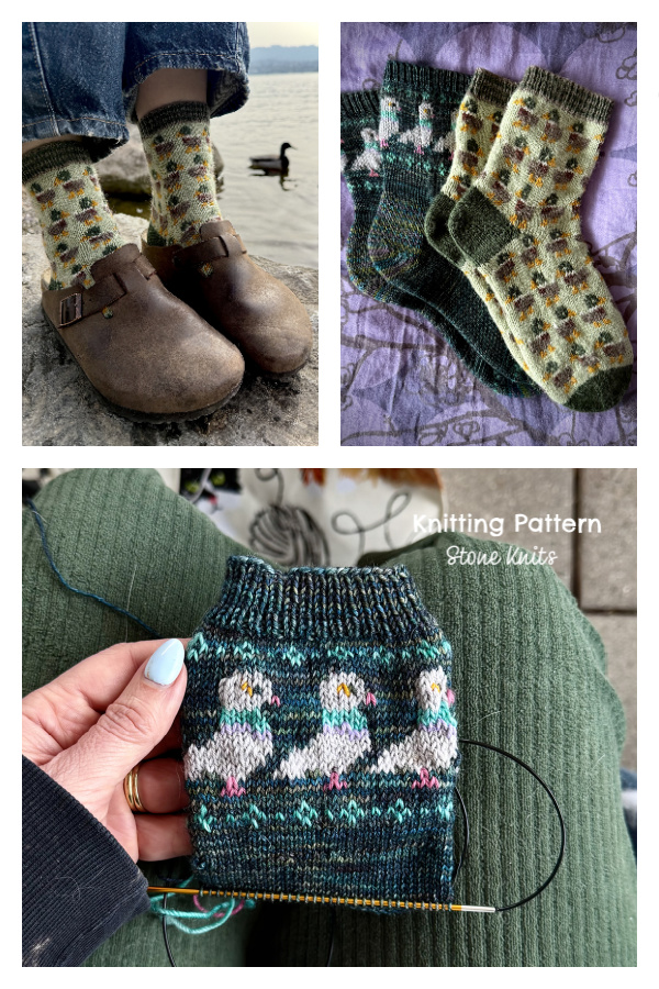 Bird Lovers Sock Set Knitting Pattern