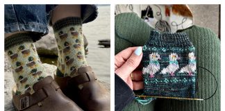 Bird Lovers Sock Set Knitting Pattern