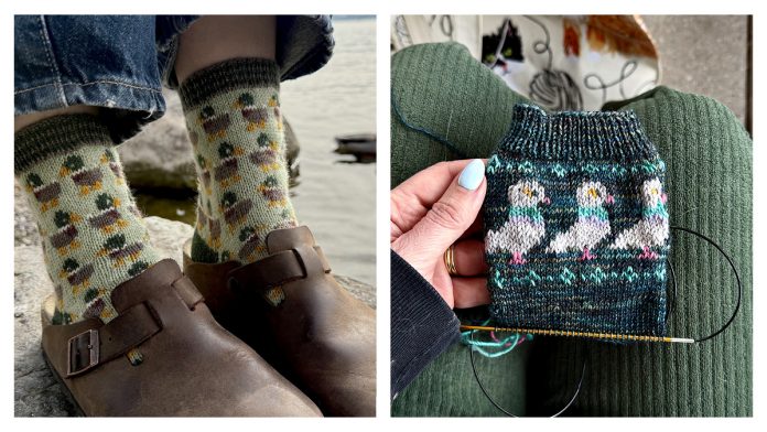 Bird Lovers Sock Set Knitting Pattern Bird Lovers Sock Set Knitting Pattern