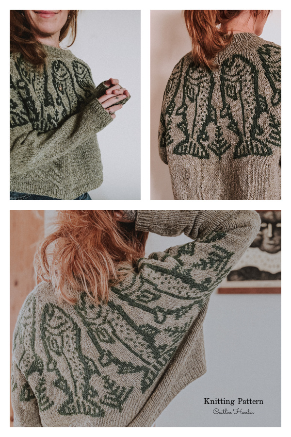 Unisex King Salmon Pullover Sweater Knitting Pattern